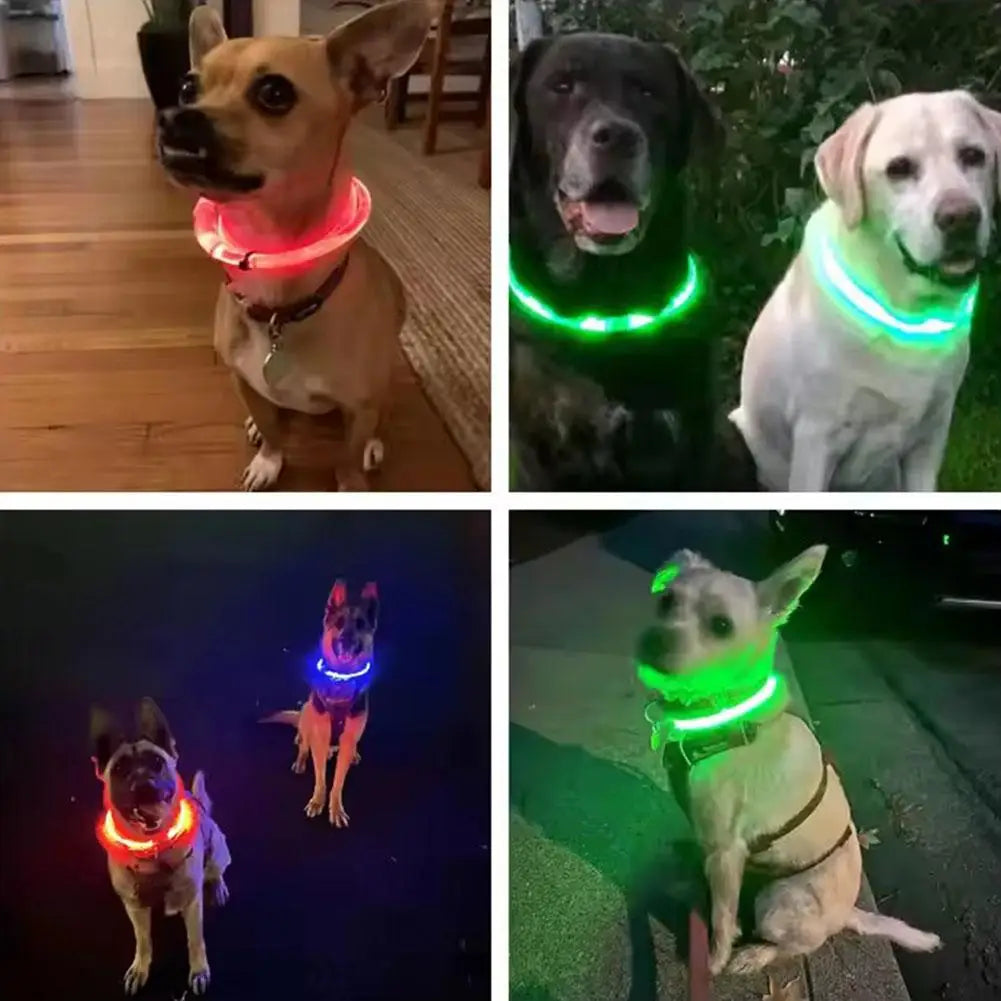 Wooforia LED Light-Up Dog Collar — USB Rechargeable Safety Collar