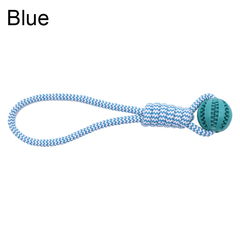 Wooforia Dental Chew Ball with Rope — Bite-Resistant Dog Toy