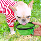 Wooforia Collapsible Pet Travel Bowl — Silicone Food & Water Bowl for Dogs & Cats
