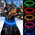 Wooforia LED Light-Up Dog Collar — USB Rechargeable Safety Collar