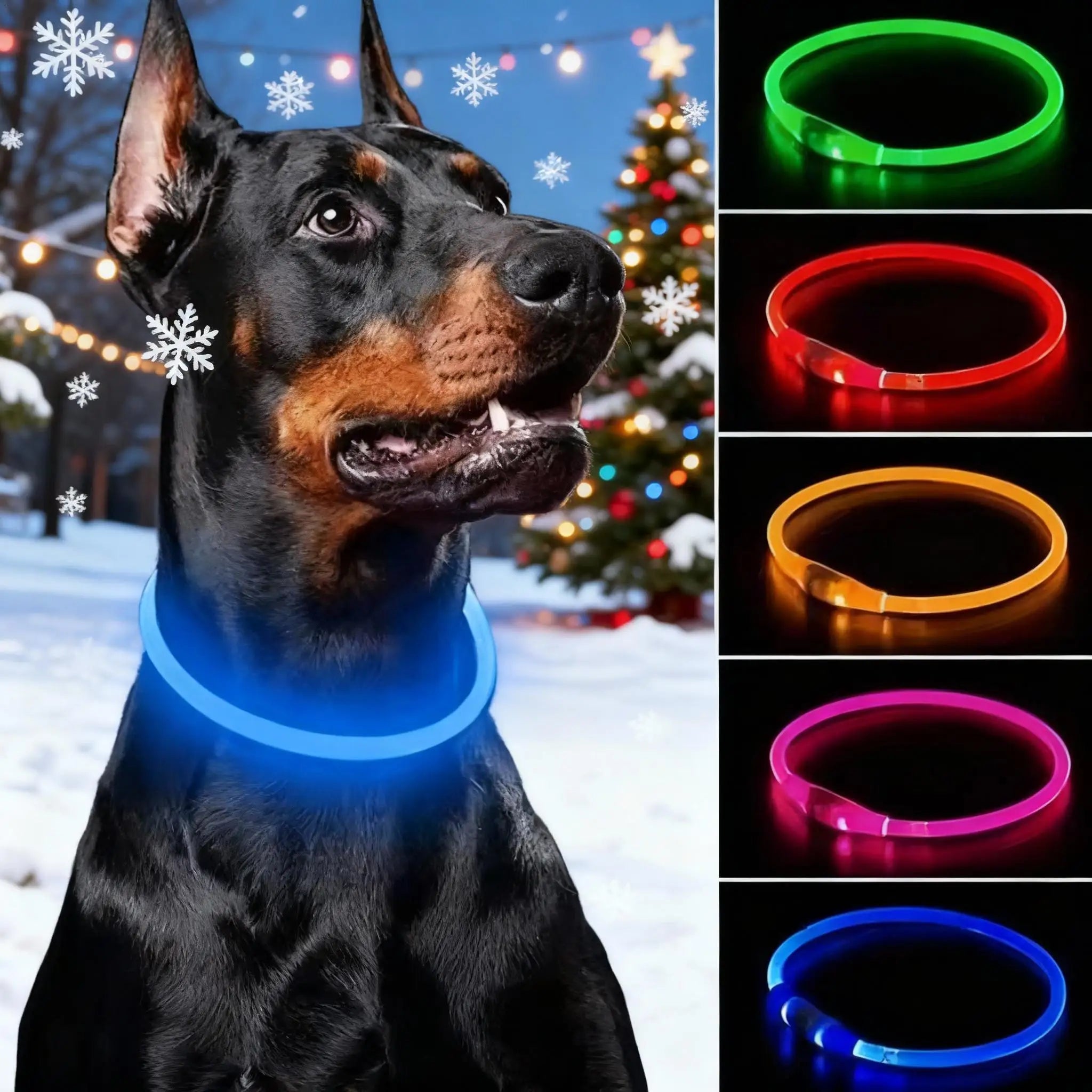 Wooforia LED Light-Up Dog Collar — USB Rechargeable Safety Collar