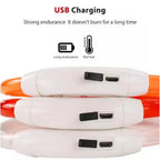 Wooforia LED Light-Up Dog Collar — USB Rechargeable Safety Collar