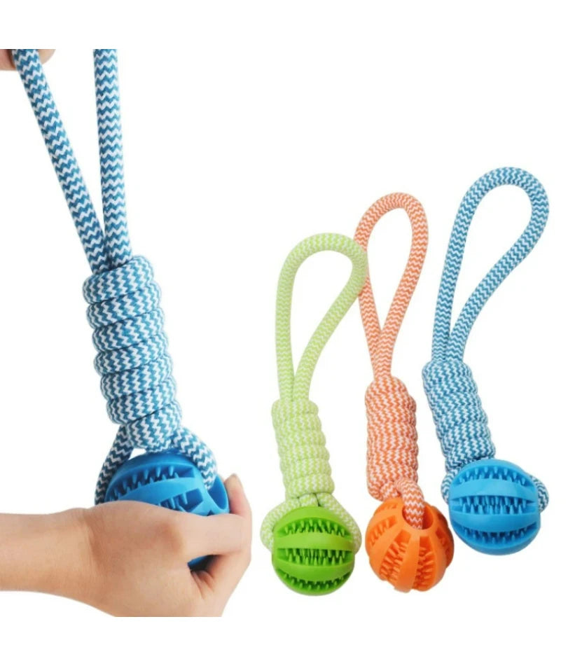 Wooforia Dental Chew Ball with Rope — Bite-Resistant Dog Toy
