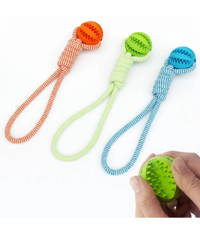 Wooforia Dental Chew Ball with Rope — Bite-Resistant Dog Toy