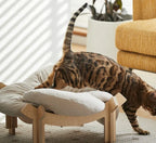 Wooforia Petal Cat Bed — Soft Indoor Sleeping Cushion for Cats & Small Dogs