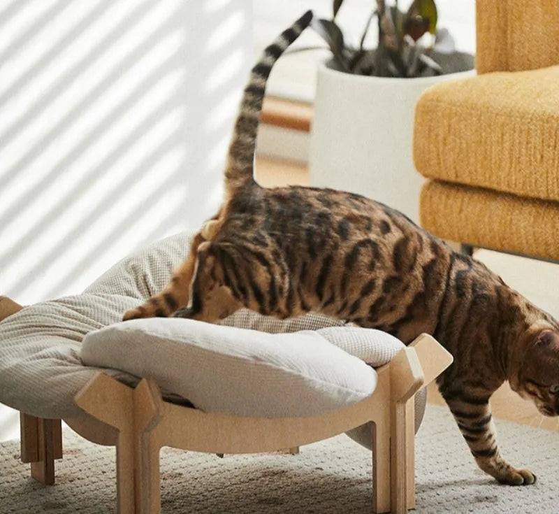 Wooforia Petal Cat Bed — Soft Indoor Sleeping Cushion for Cats & Small Dogs