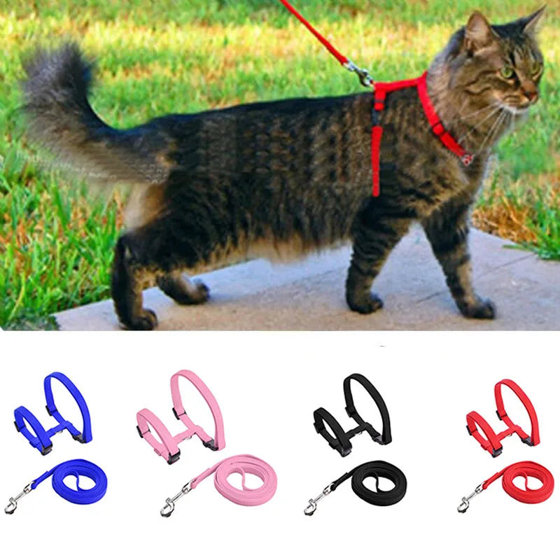 Wooforia Adjustable Cat Harness & Leash Set