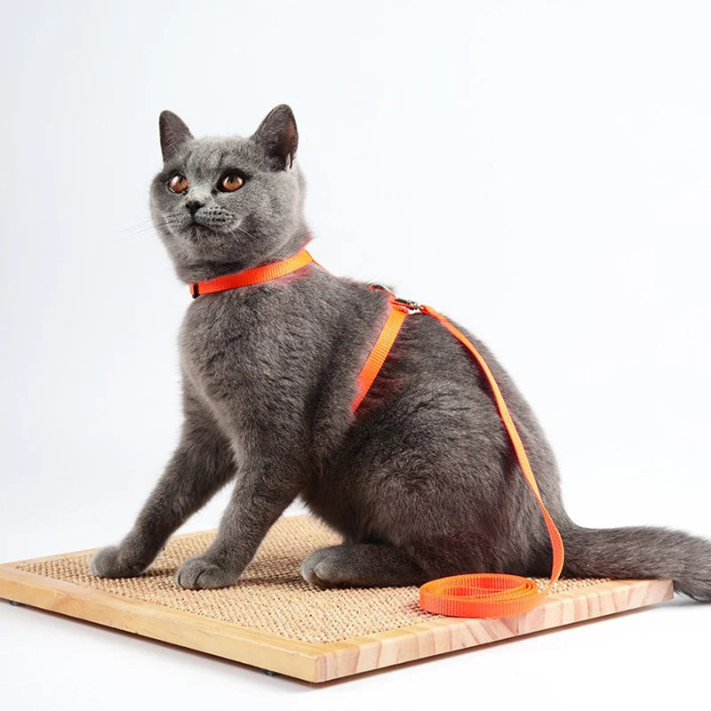 Wooforia Adjustable Cat Harness & Leash Set