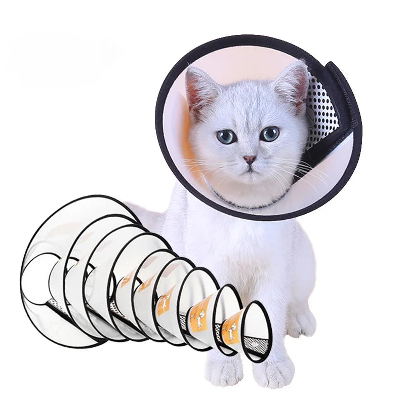 Wooforia Recovery Cone Collar — Anti-Bite Medical Collar for Dogs & Cats