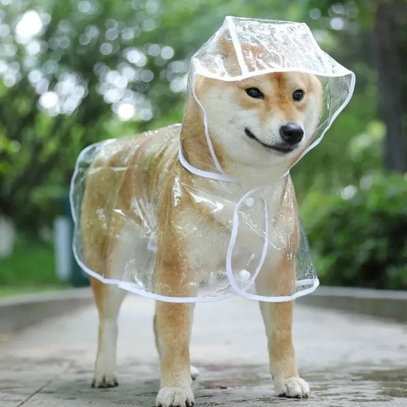 Wooforia Transparent Pet Raincoat — Waterproof Jacket for Small Dogs