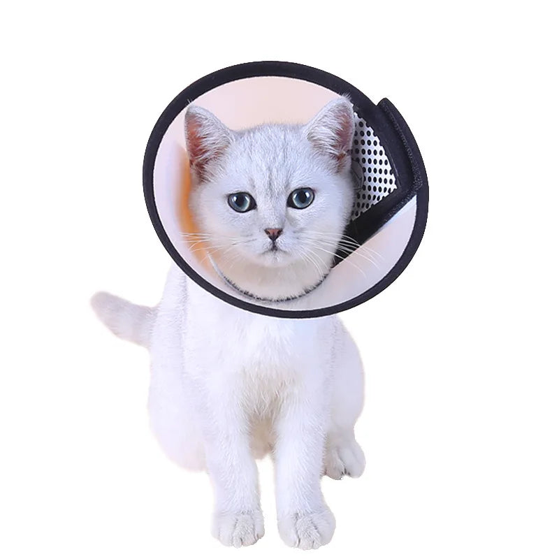 Wooforia Recovery Cone Collar — Anti-Bite Medical Collar for Dogs & Cats
