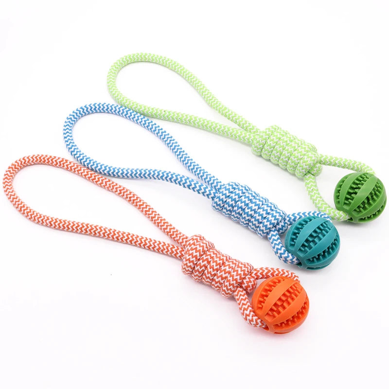 Wooforia Dental Chew Ball with Rope — Bite-Resistant Dog Toy