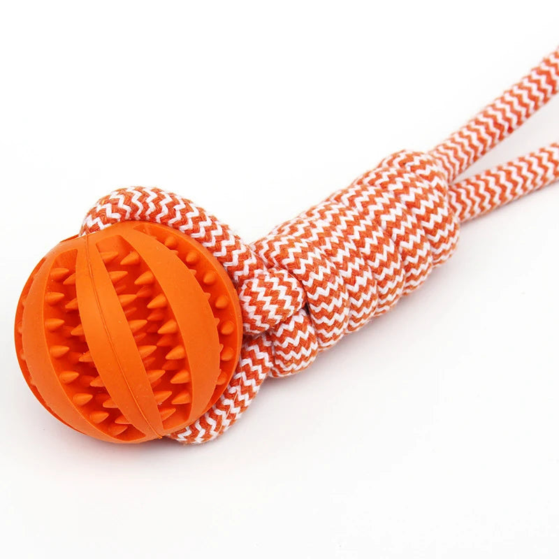 Wooforia Dental Chew Ball with Rope — Bite-Resistant Dog Toy