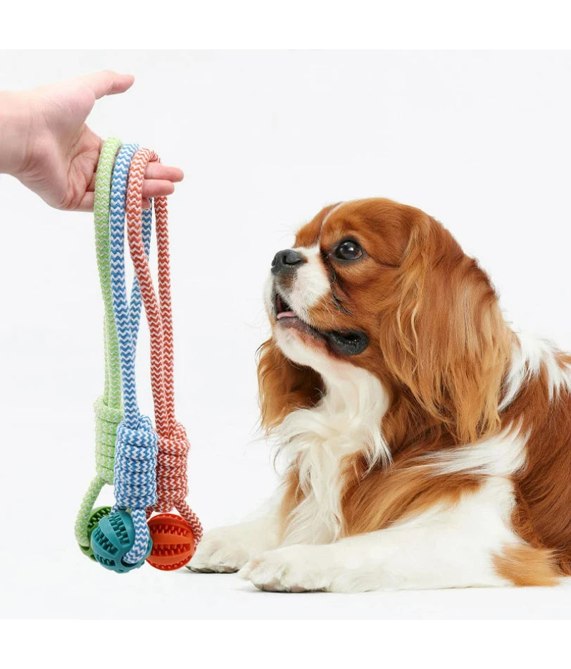 Wooforia Dental Chew Ball with Rope — Bite-Resistant Dog Toy