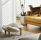 Wooforia Petal Cat Bed — Soft Indoor Sleeping Cushion for Cats & Small Dogs