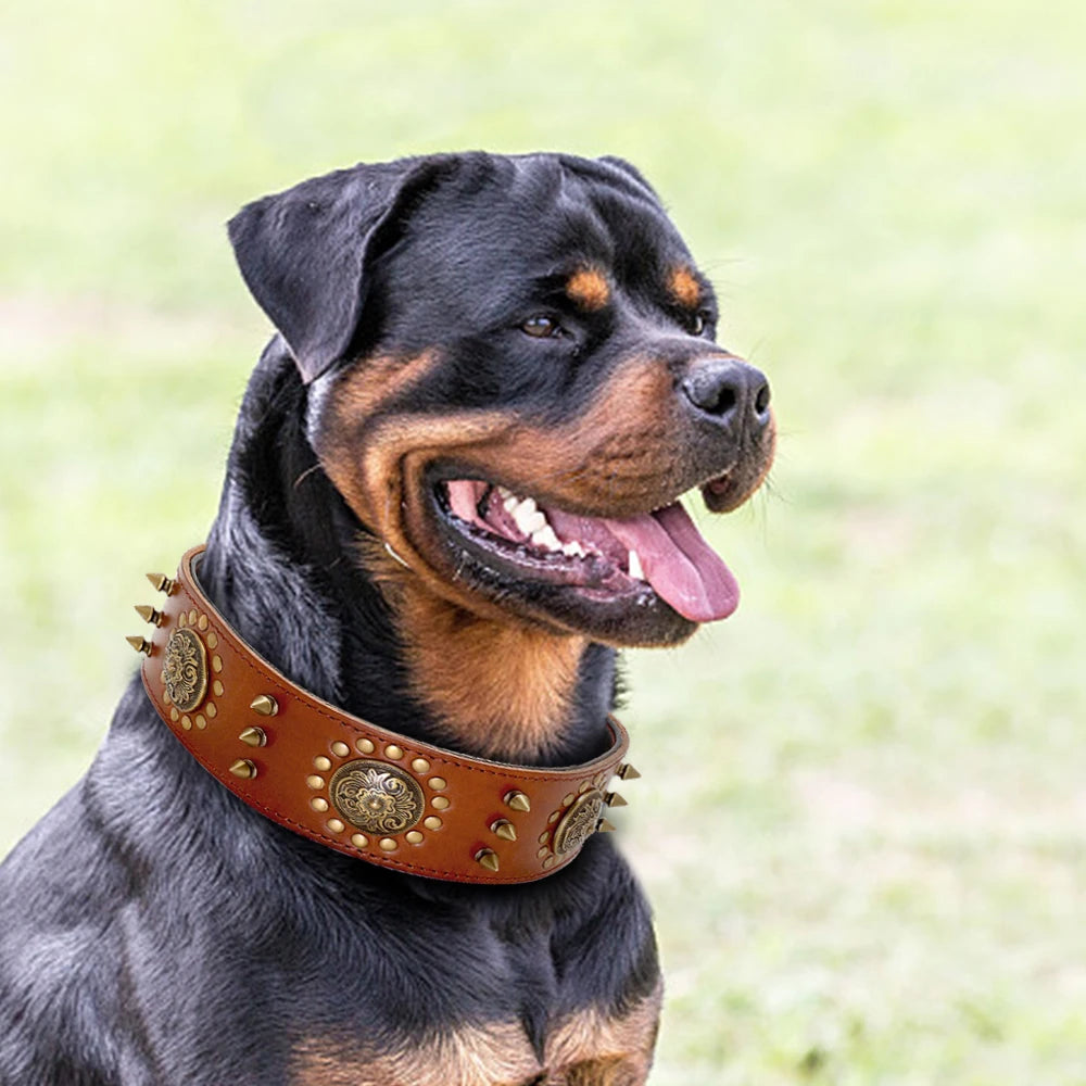 Wooforia Spiked Studded Dog Collar — Heavy Duty Leather for Large Dogs
