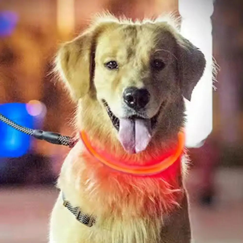 Wooforia LED Light-Up Dog Collar — USB Rechargeable Safety Collar