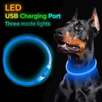 Wooforia LED Light-Up Dog Collar — USB Rechargeable Safety Collar