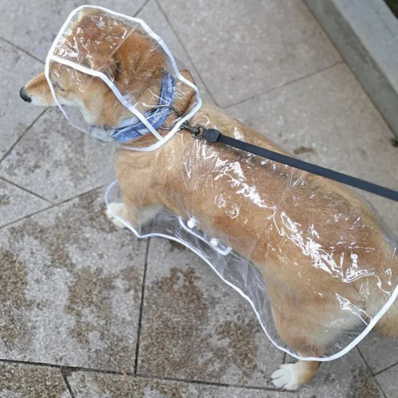Wooforia Transparent Pet Raincoat — Waterproof Jacket for Small Dogs
