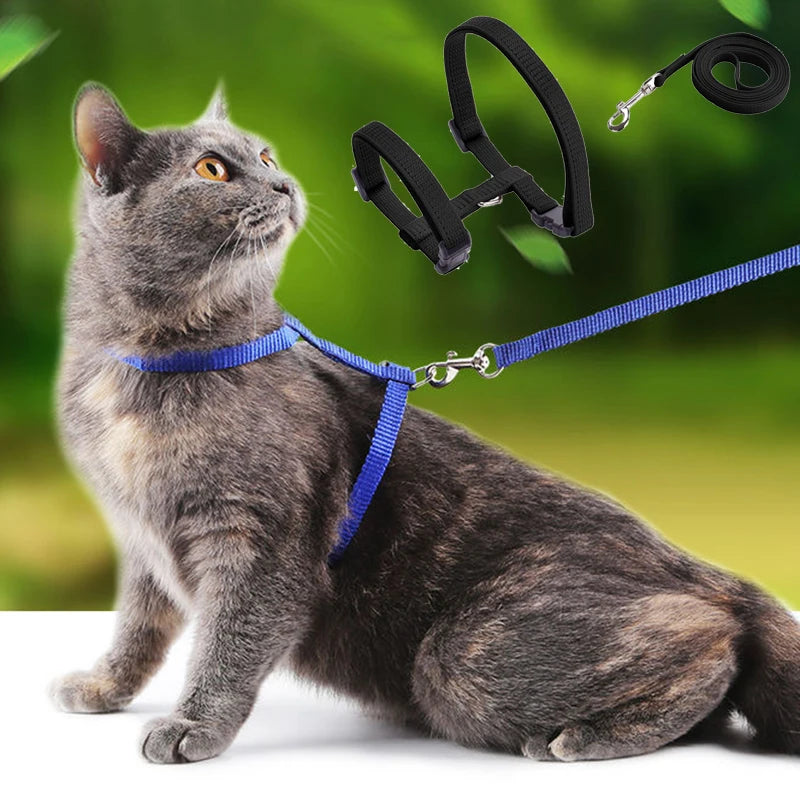 Wooforia Adjustable Cat Harness & Leash Set