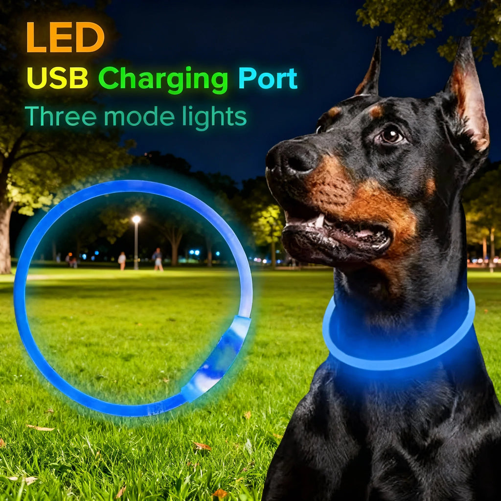 Wooforia LED Light-Up Dog Collar — USB Rechargeable Safety Collar