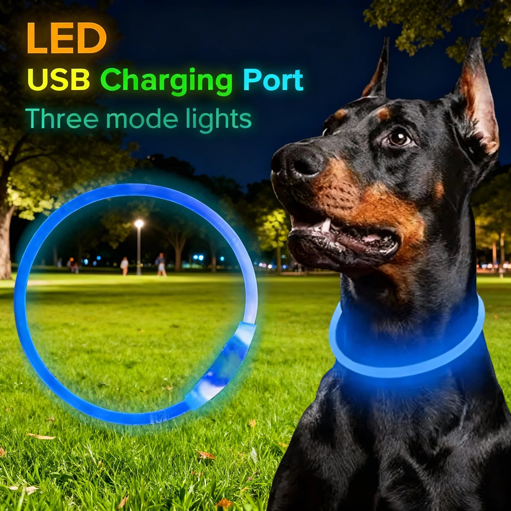 Wooforia LED Light-Up Dog Collar — USB Rechargeable Safety Collar