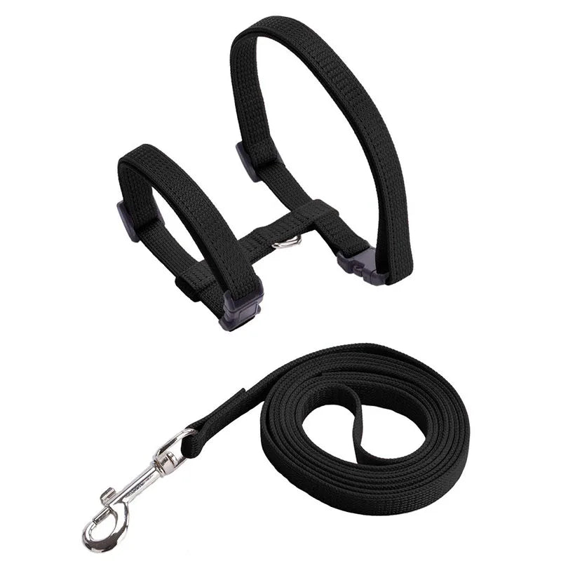 Wooforia Adjustable Cat Harness & Leash Set