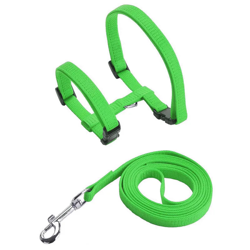 Wooforia Adjustable Cat Harness & Leash Set