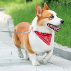 Wooforia Scarf Dog Collar — Adjustable PU Collar for Small & Medium Dogs