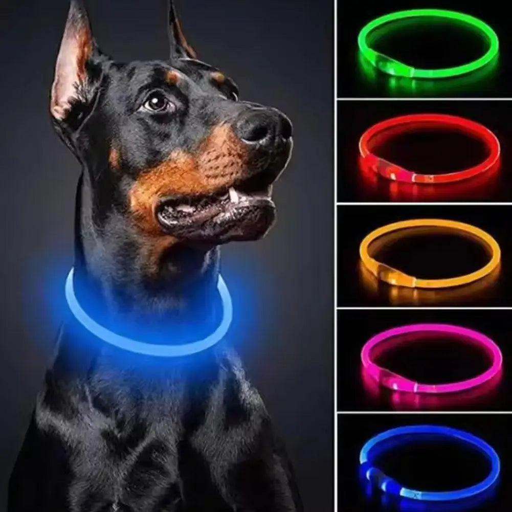Wooforia LED Light-Up Dog Collar — USB Rechargeable Safety Collar