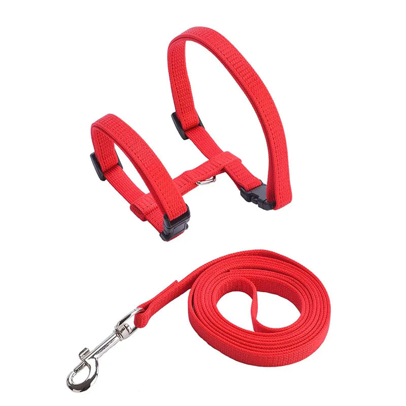 Wooforia Adjustable Cat Harness & Leash Set