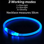 Wooforia LED Light-Up Dog Collar — USB Rechargeable Safety Collar