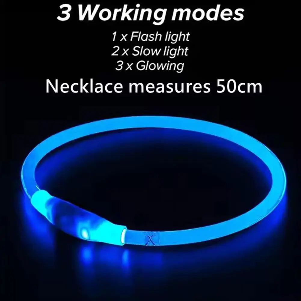 Wooforia LED Light-Up Dog Collar — USB Rechargeable Safety Collar