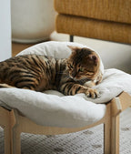 Wooforia Petal Cat Bed — Soft Indoor Sleeping Cushion for Cats & Small Dogs