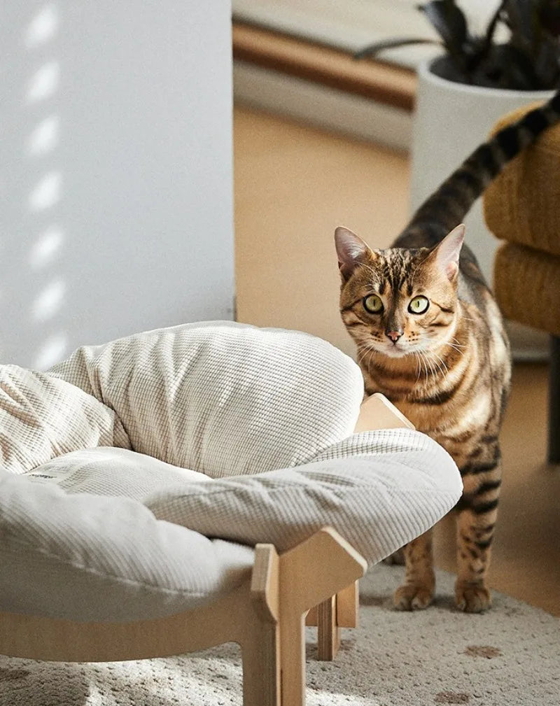 Wooforia Petal Cat Bed — Soft Indoor Sleeping Cushion for Cats & Small Dogs