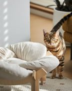 Wooforia Petal Cat Bed — Soft Indoor Sleeping Cushion for Cats & Small Dogs