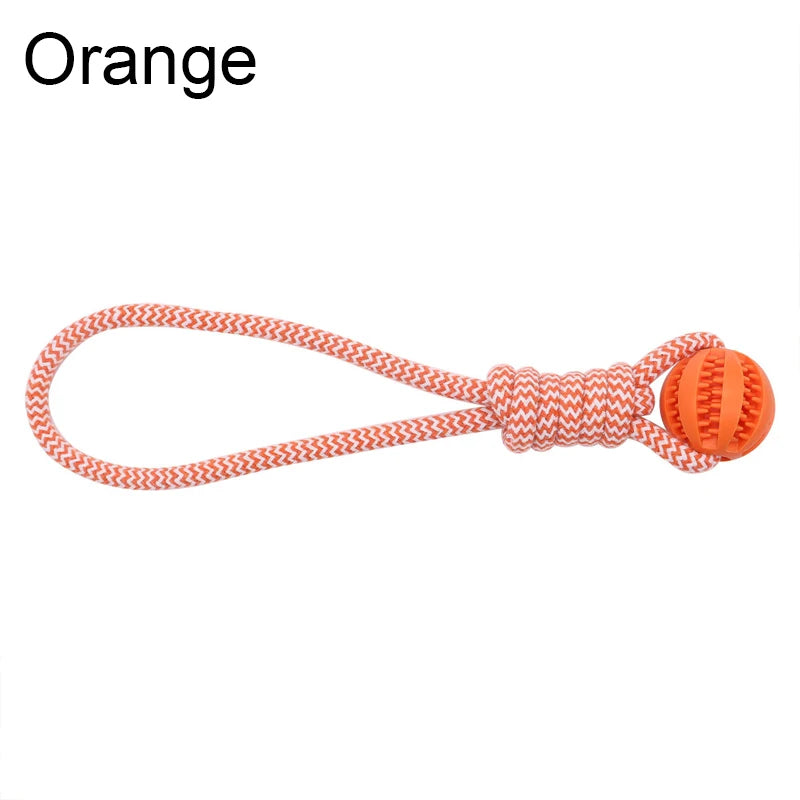 Wooforia Dental Chew Ball with Rope — Bite-Resistant Dog Toy
