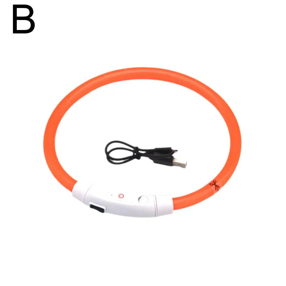 Wooforia LED Light-Up Dog Collar — USB Rechargeable Safety Collar