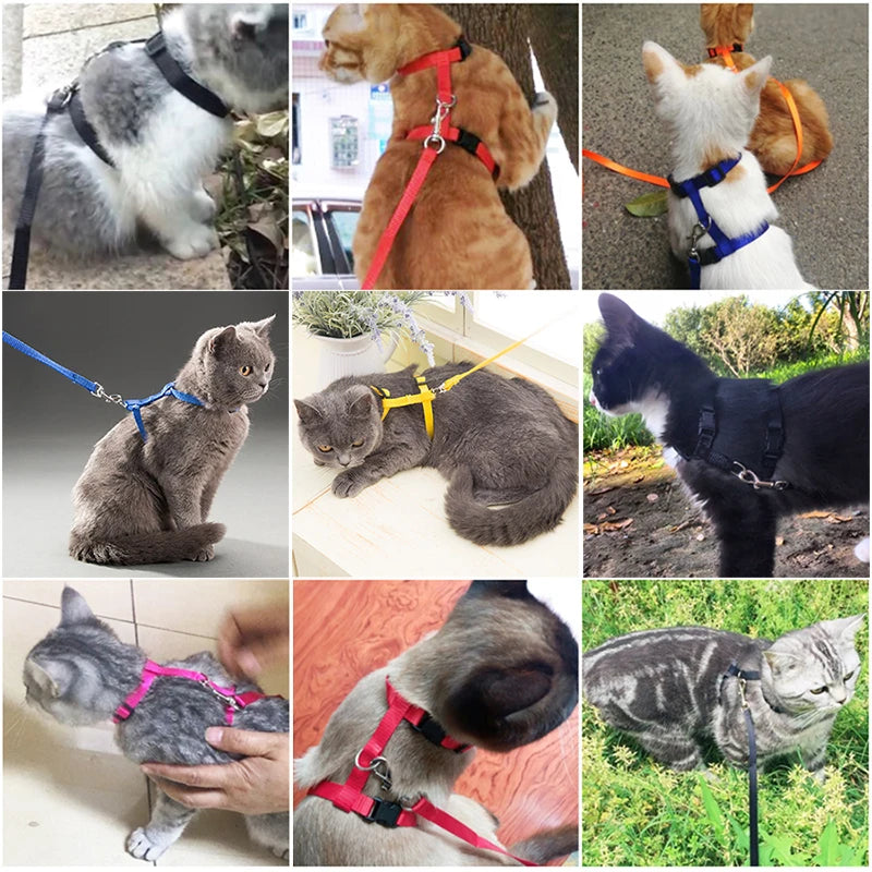 Wooforia Adjustable Cat Harness & Leash Set