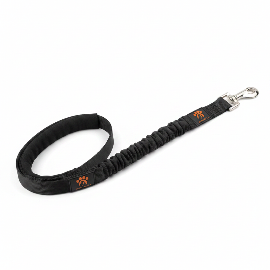 Wooforia Bungee Lead